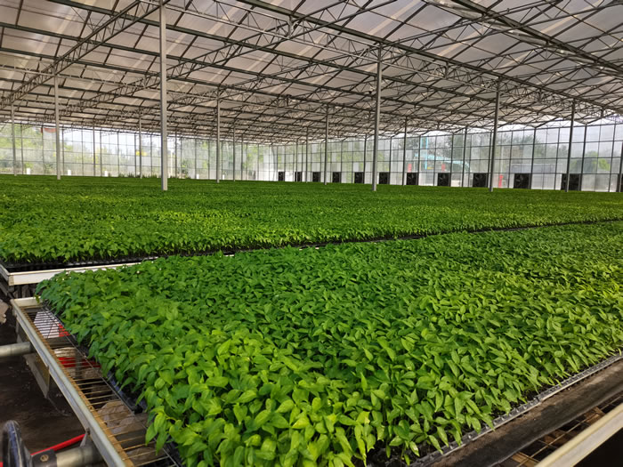 ������|�������չʾ3